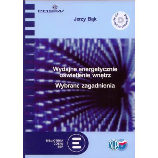 Wydajne energetycznie oświetlenie wnętrz. Wybrane zagadnienia
